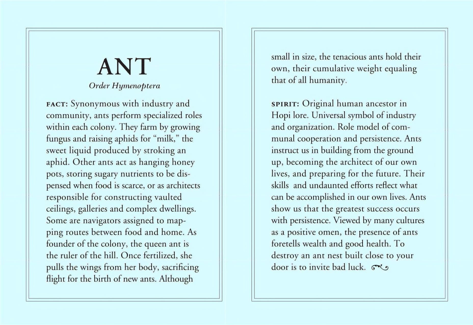 Diamonds 14K Gold Ant Charm Bracelet Bracelets My Store