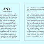 Diamonds 14K Gold Ant Charm Bracelet Bracelets My Store