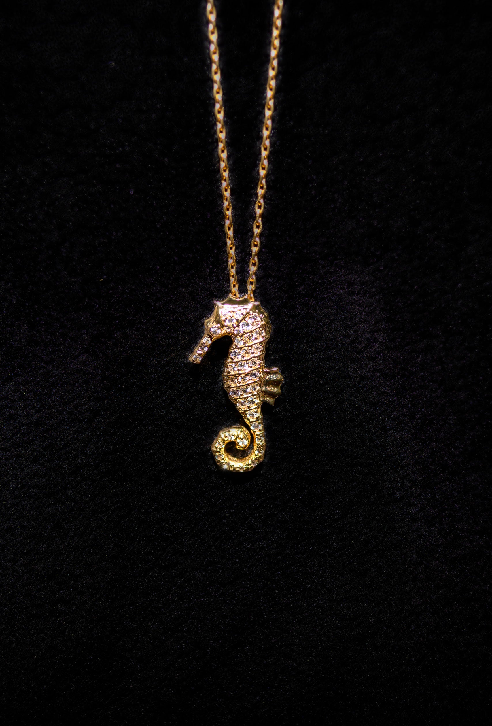 14k Solid Gold Large Seahorse Pendant Necklace Necklaces & Pendants J.Herwitt